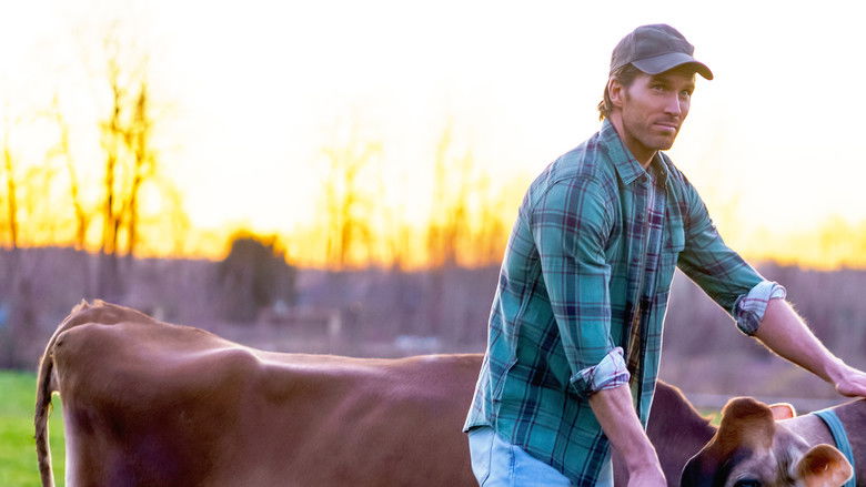 кадр из фильма По прогнозу - любовь