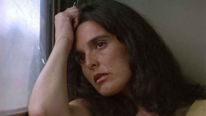 кадр из фильма Objetos Perdidos