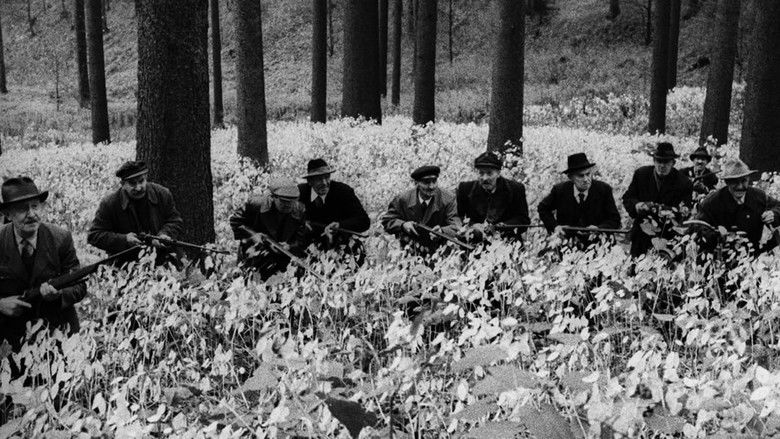 кадр из фильма Алмазы ночи