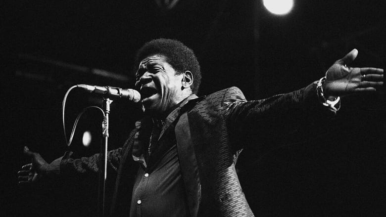 кадр из фильма Charles Bradley : Musiques en Stock 2016
