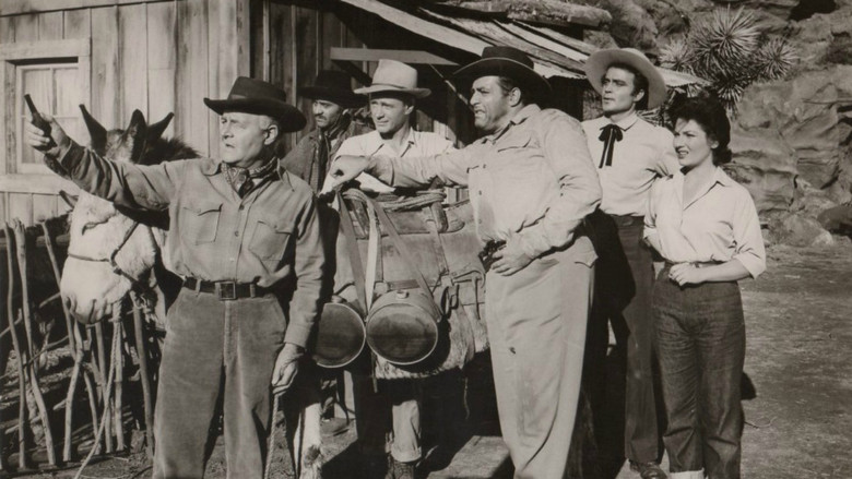 кадр из фильма Secret of Treasure Mountain