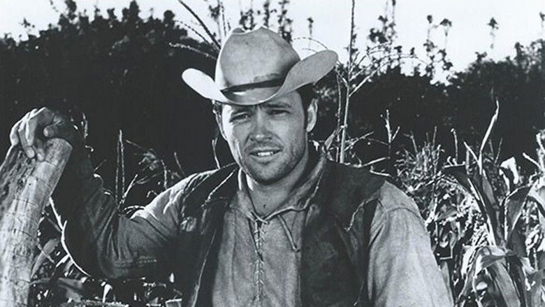 кадр из фильма Sancho, the Homing Steer