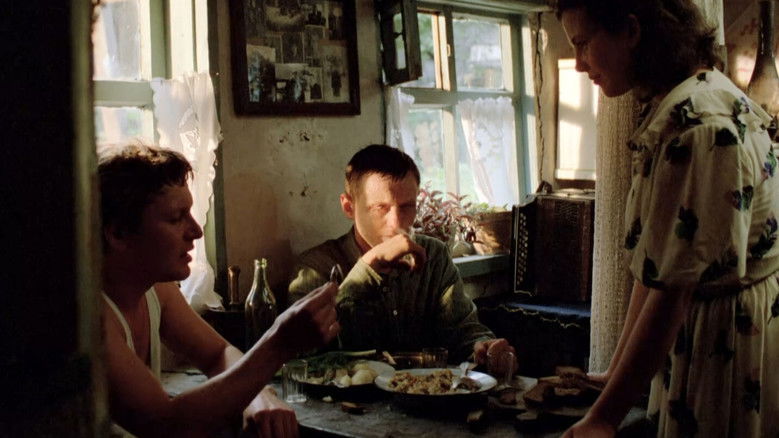 кадр из фильма Зеркало для героя