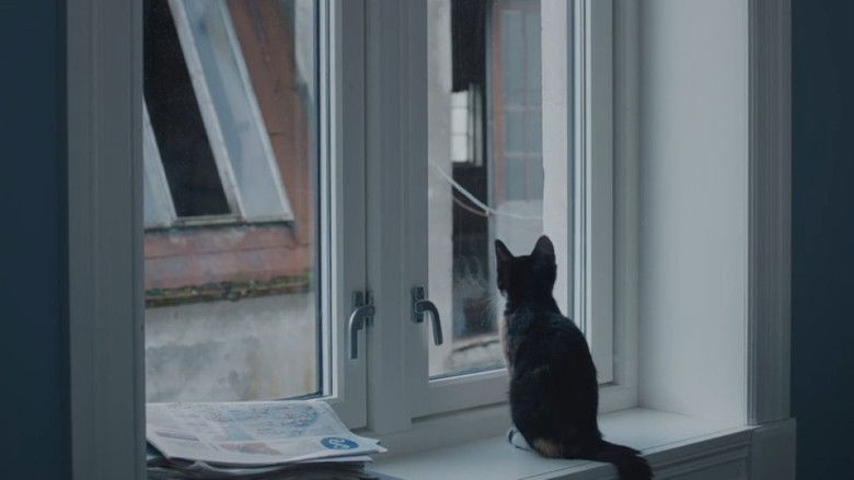 кадр из фильма A Human Position