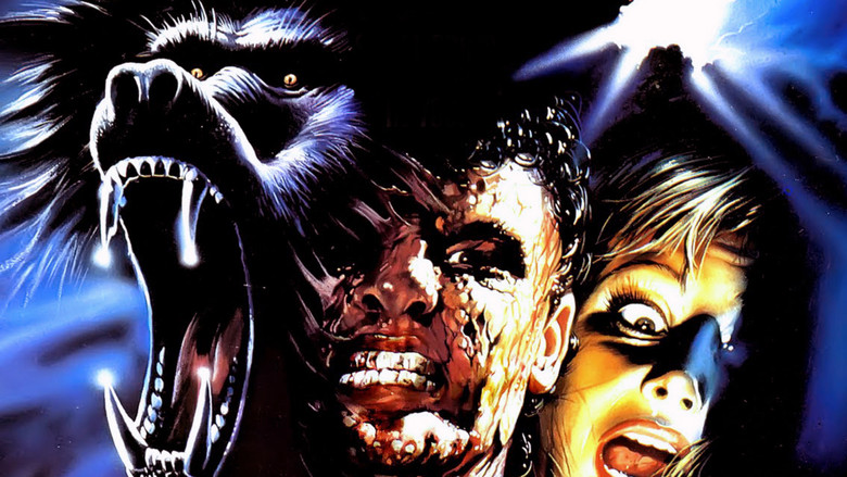 кадр из фильма Ярость зверя