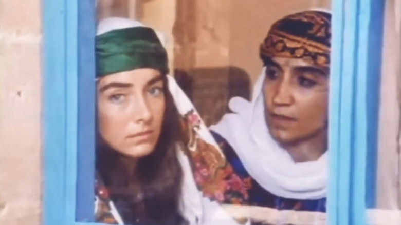 кадр из фильма Mem û Zîn