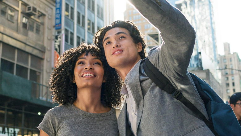 кадр из фильма Солнце тоже звезда