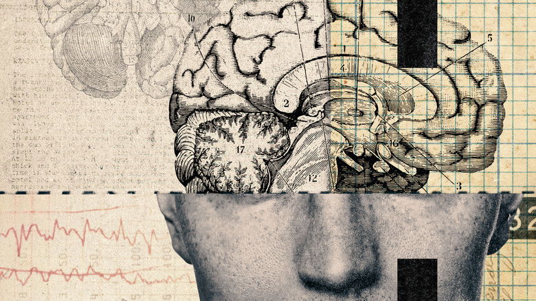 кадр из фильма Безумен, но не болен