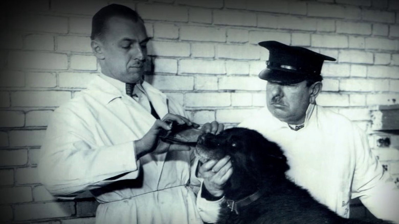 кадр из фильма Balto - helten fra Alaska