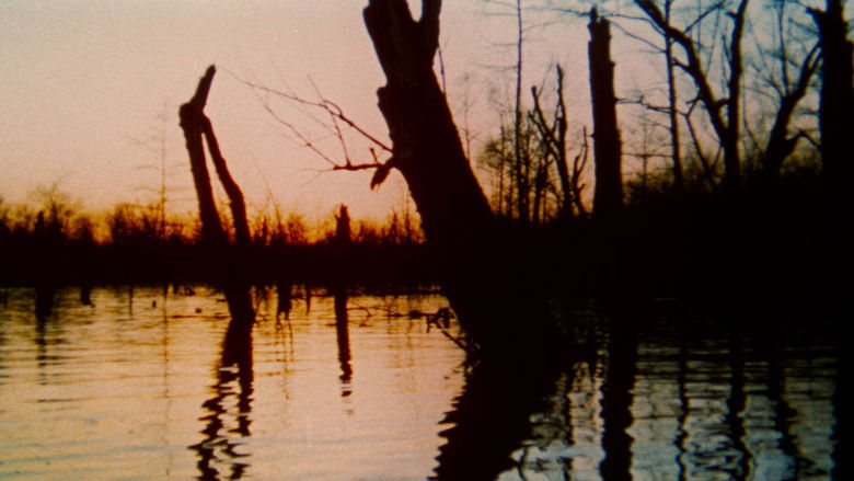 кадр из фильма The Legend of Boggy Creek