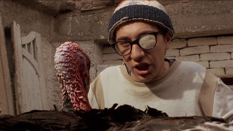 кадр из фильма Время цыган