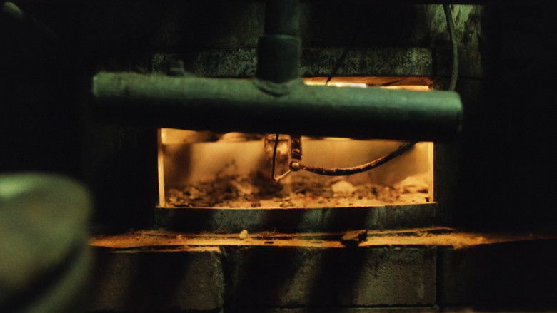 кадр из фильма Frenel