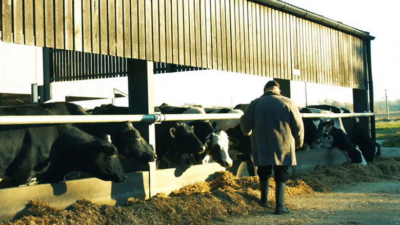 кадр из фильма Борстал