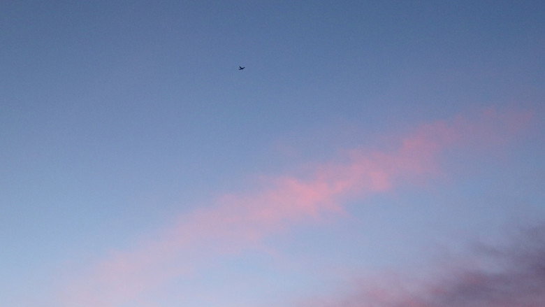 кадр из фильма Pink Skies