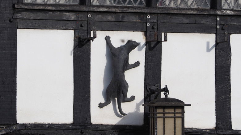 кадр из фильма Inne the walles of Yorke