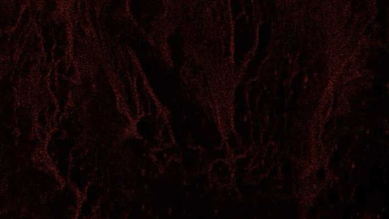 кадр из фильма Hinterlands