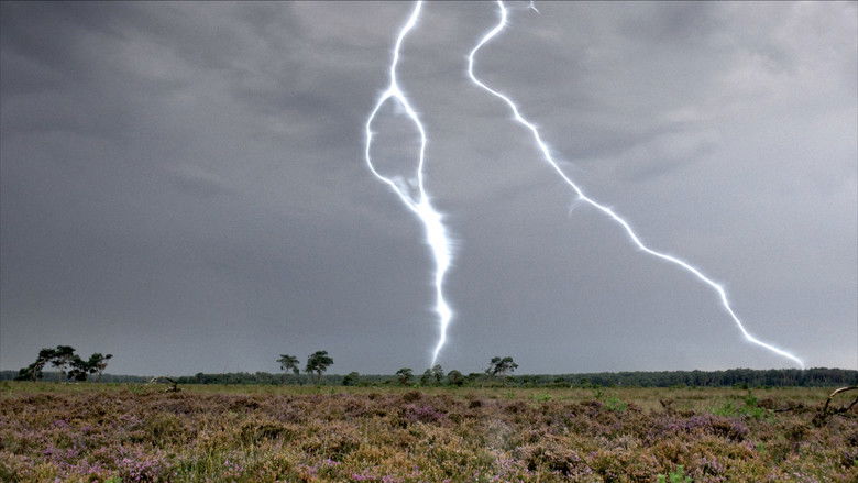 кадр из фильма Onze Natuur, De Film