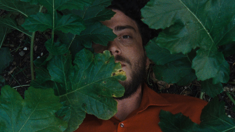 кадр из фильма Метаморфоза птиц