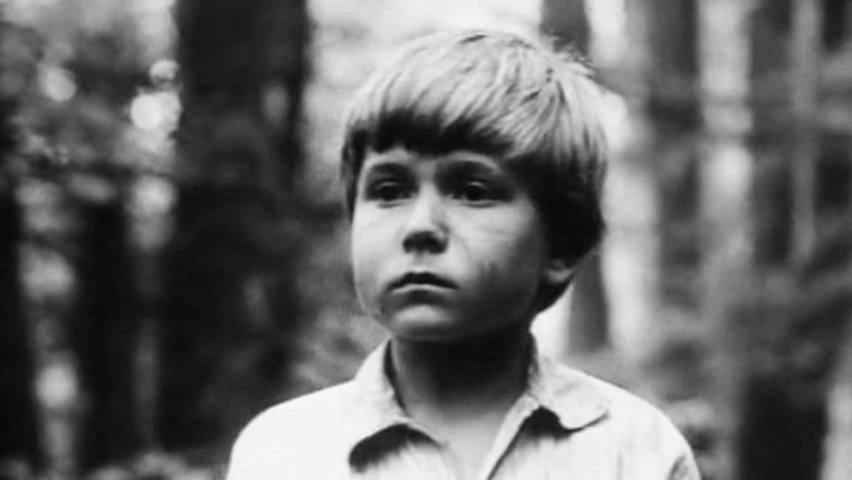 Тайна партизанской землянки