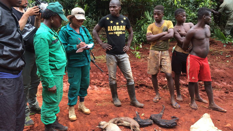 кадр из фильма Silent Forests