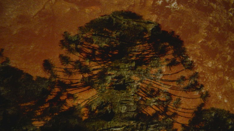 кадр из фильма Archipelago of Earthen Bones — To Bunya