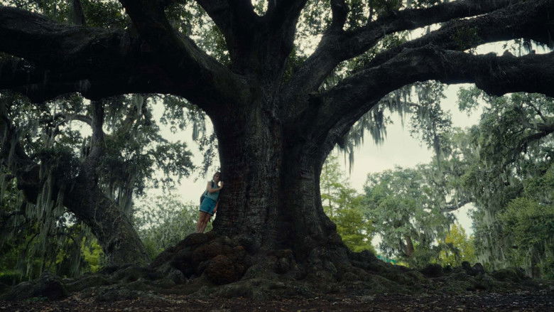 кадр из фильма Everywhere I Look