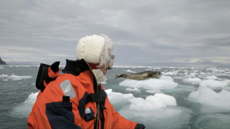 кадр из фильма Els records glaçats