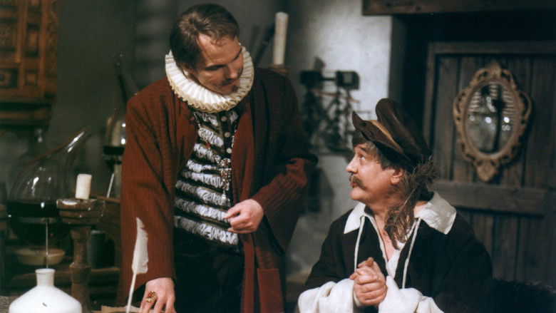 кадр из фильма Třeboňská pohádka