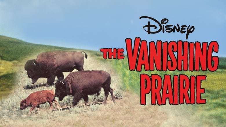 кадр из фильма The Vanishing Prairie