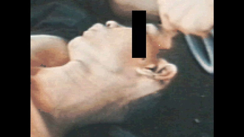 кадр из фильма Gifs Galore