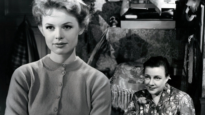 кадр из фильма Det lille hotel