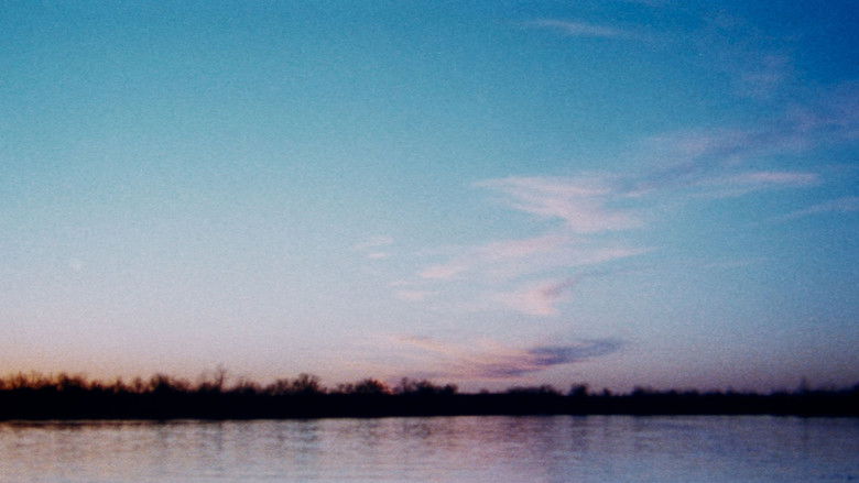 кадр из фильма The Legend of Boggy Creek