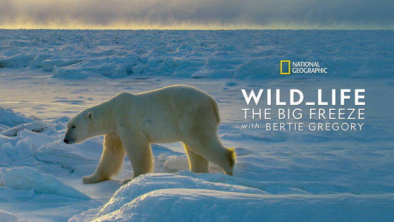 Wild Life: The Big Freeze