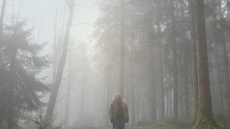 кадр из фильма Recherche personne prête à tout contre somme considérable