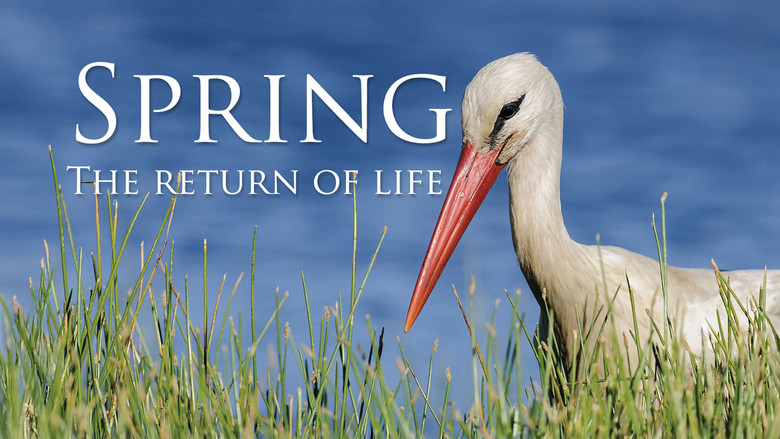 Spring: The Return of Life
