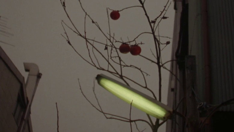 кадр из фильма 三月のライオン