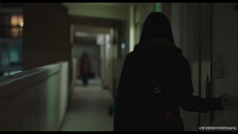 кадр из фильма 같은 속옷을 입는 두 여자