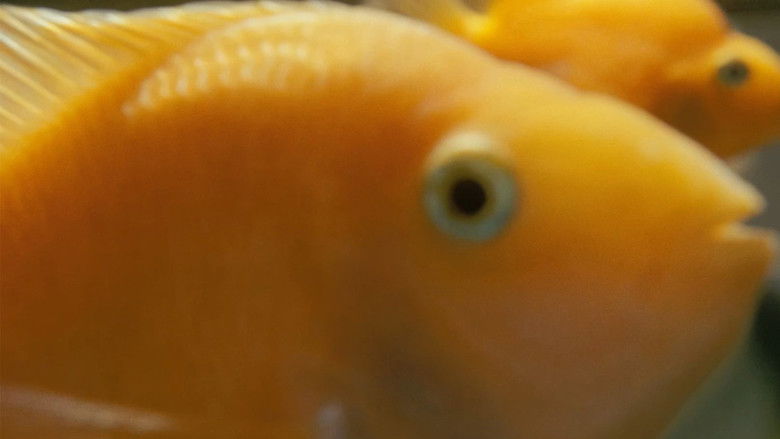 кадр из фильма Илья и Захар: Масленица на пределе