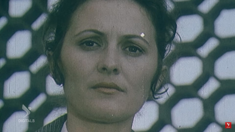 кадр из фильма Në shtëpinë tonë