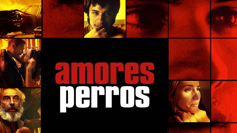 кадр из фильма Сука-любовь