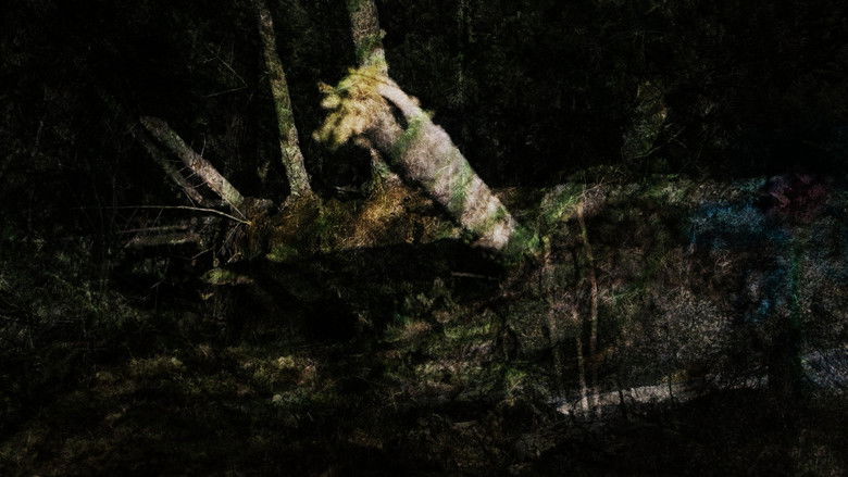 кадр из фильма Lumpaz