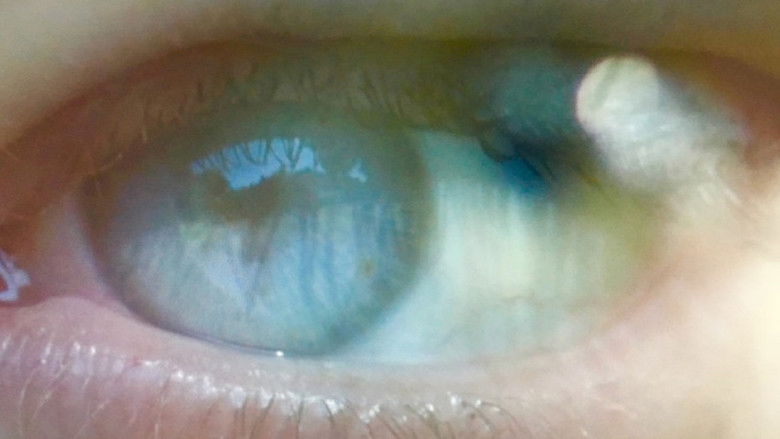 кадр из фильма Отсутствие взаимности в уязвимости, потерях и рисках