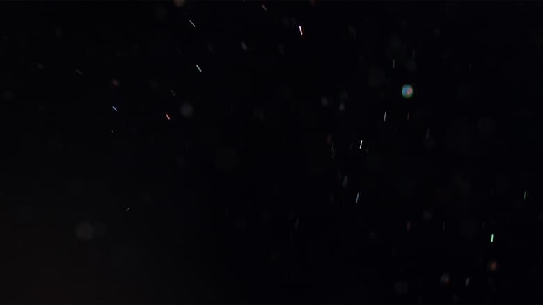 кадр из фильма QVIS I