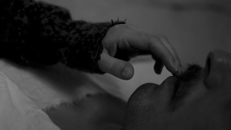 кадр из фильма Βληχή