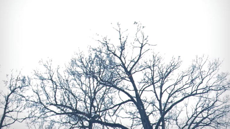 кадр из фильма Chronophotography