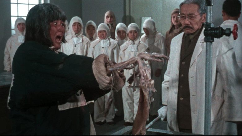 кадр из фильма Человек за солнцем