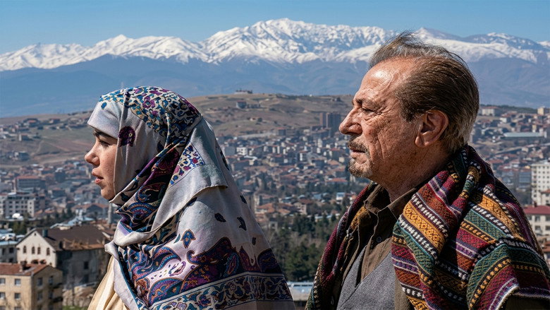 кадр из фильма Rabbine Dön