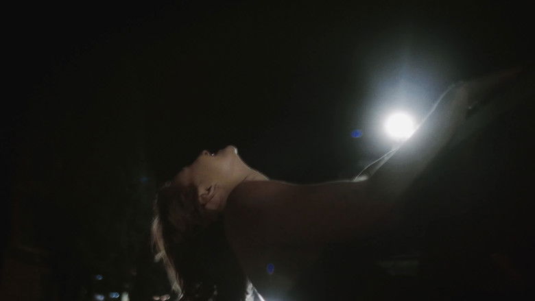 кадр из фильма The Star and the Black Space Around It