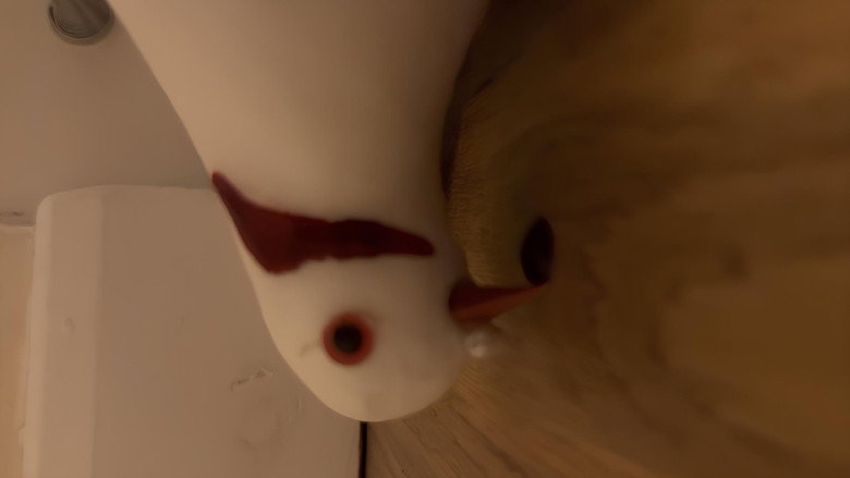 кадр из фильма Bird, Oh Bird