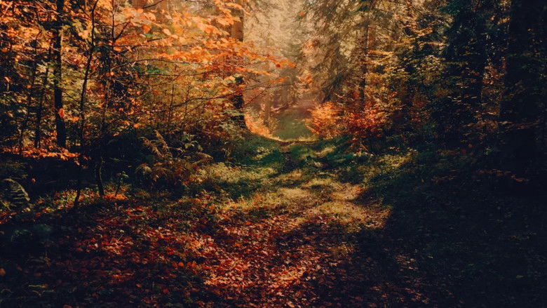 кадр из фильма Voir l'automne, une saison en France